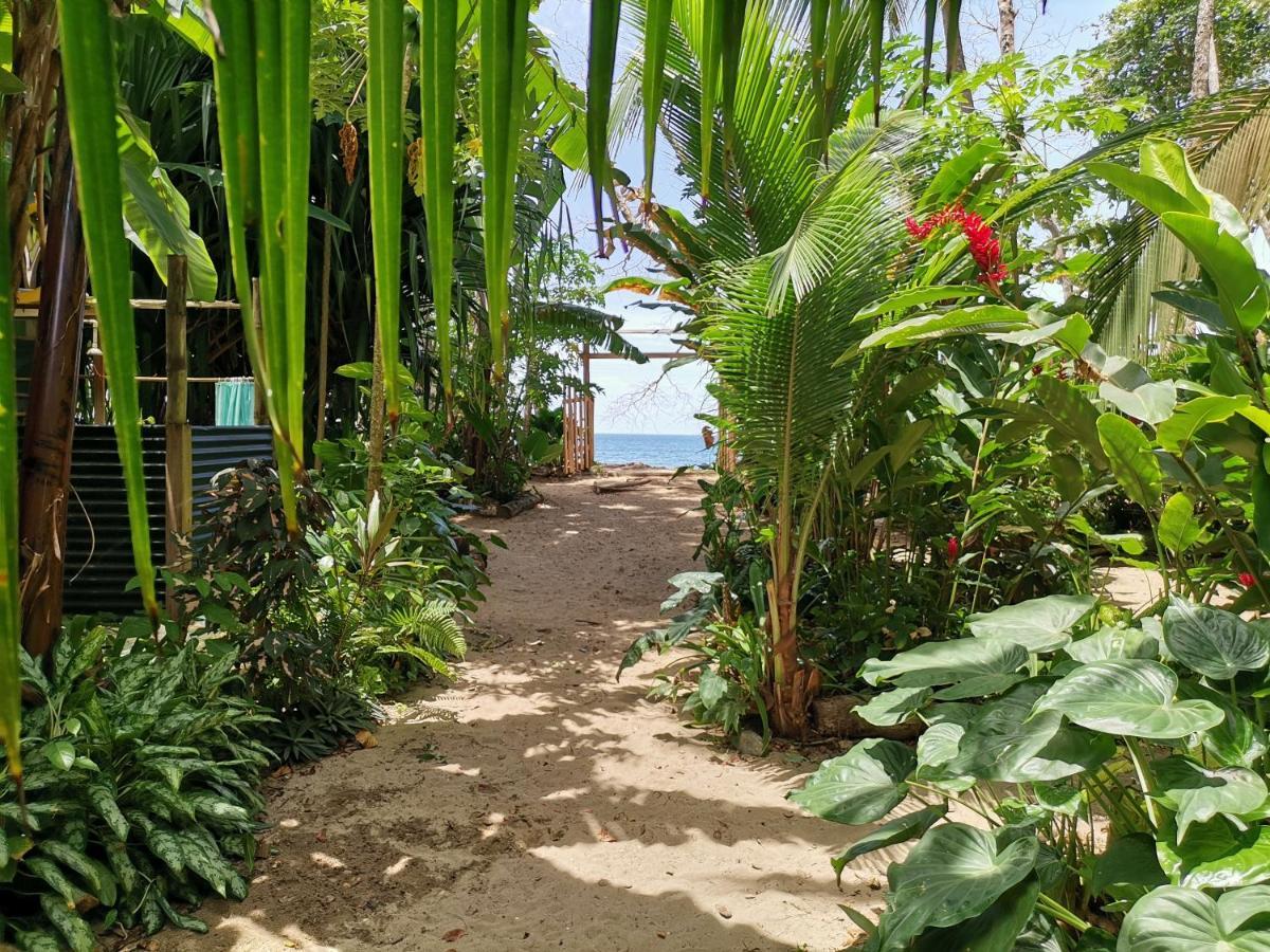 Oasis Beachfront Hostel Puerto Limon Eksteriør bilde