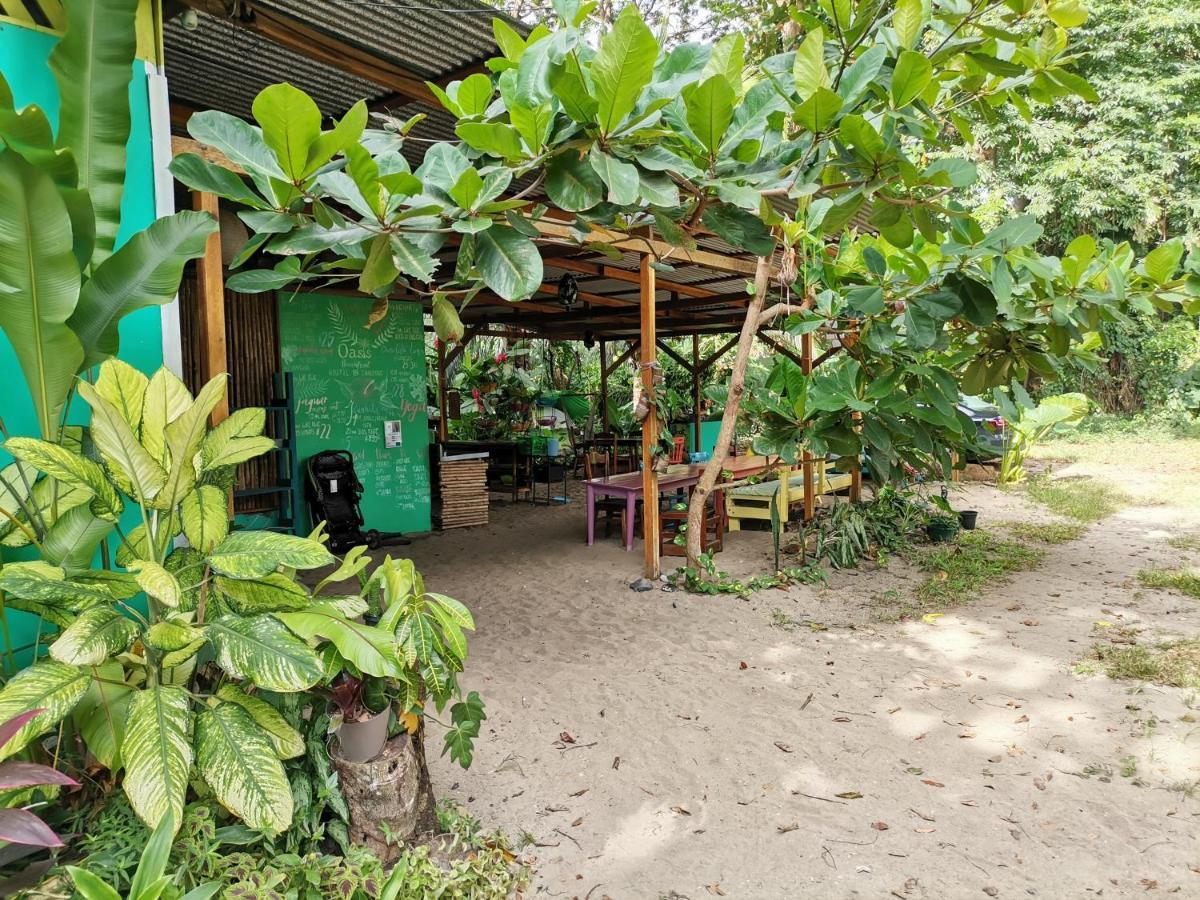 Oasis Beachfront Hostel Puerto Limon Eksteriør bilde