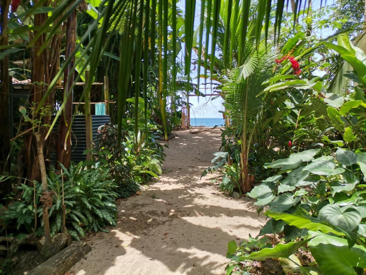 Oasis Beachfront Hostel Puerto Limon Eksteriør bilde