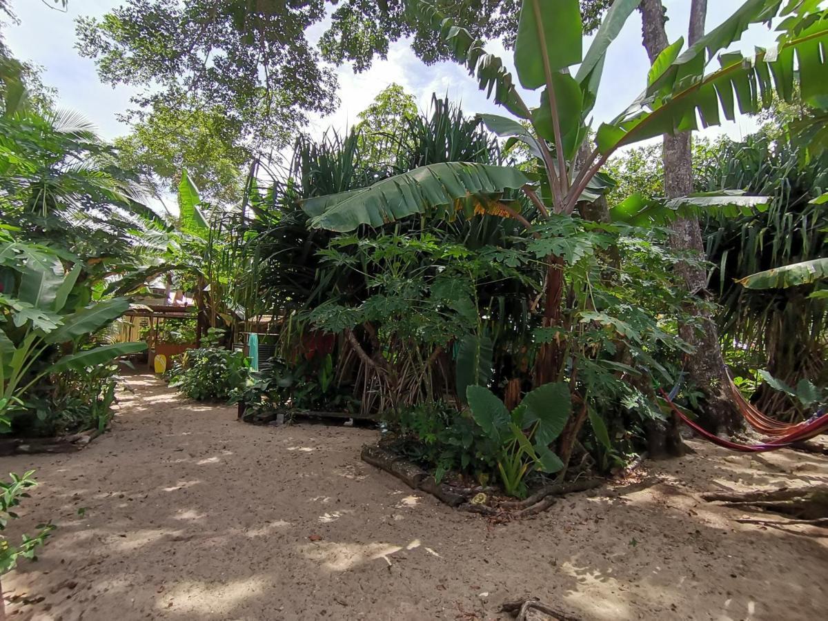 Oasis Beachfront Hostel Puerto Limon Eksteriør bilde