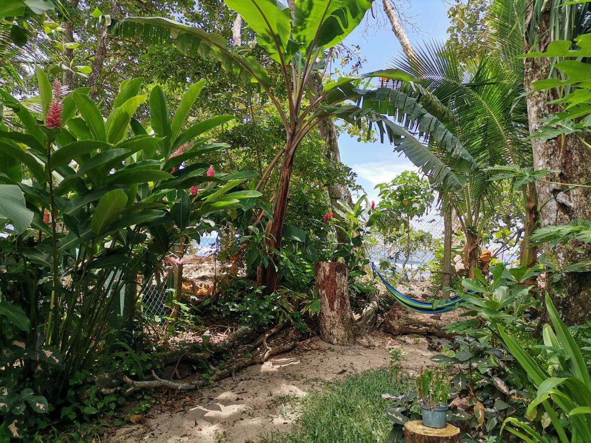 Oasis Beachfront Hostel Puerto Limon Eksteriør bilde